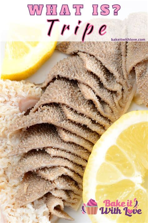 What Is Tripe An In Depth Guide To This Tasty Meat