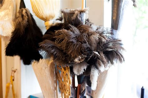 Feather Duster For Chicks At Jessicashaak Blog