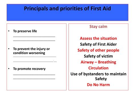 Ppt Principals And Priorities Of First Aid Powerpoint Presentation