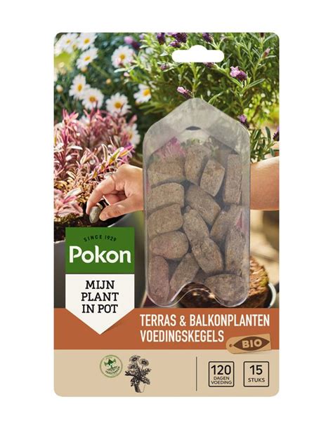 Pokon Bio Terras Balkon Planten Voedingskegels Stuks Avri Bloem