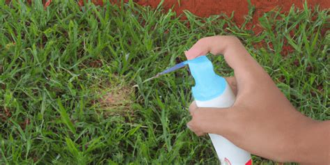 Como aplicar herbicidas descubra todos os benefícios em sua aplicação