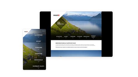 canton  vaud large network