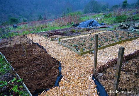 Frugal Gardening Idea Create Wood Chip Garden Paths Garden Living