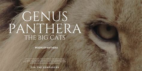 GENUS PANTHERA - The Cue Tube