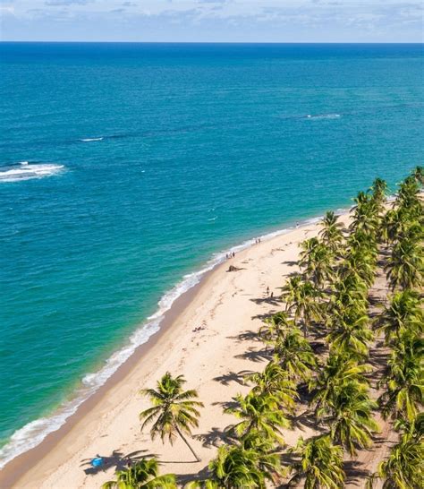 Pirambu Litoral De Sergipe Guia Praia