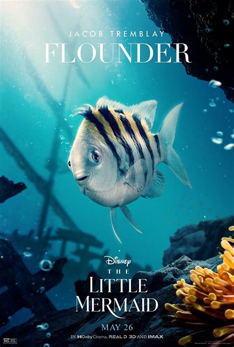 No Les Gusta Flounder En La Sirenita Live Action Qui N Lo