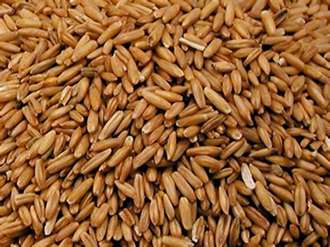 Gepelde haver 1kg