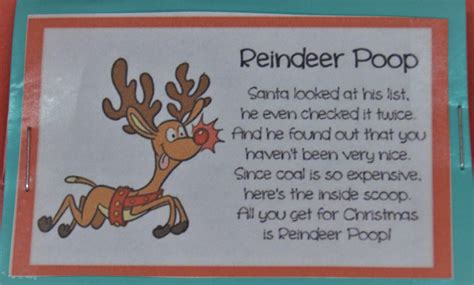 Reindeer Poop Etsy