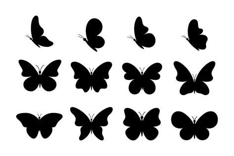 Set Of Black Butterflies Silhouette Vector Illustration Vector