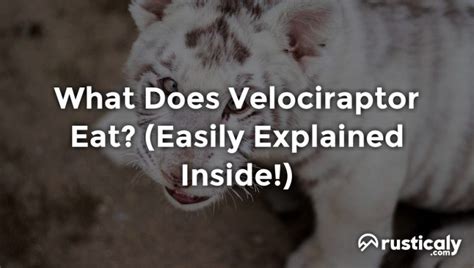 What Does Velociraptor Eat The Ultimate Explanation