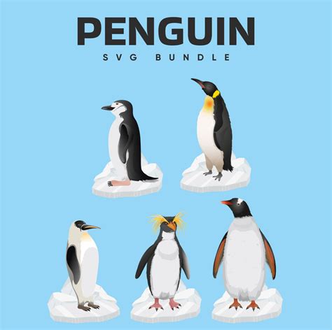 Free Penguin Svg Masterbundles