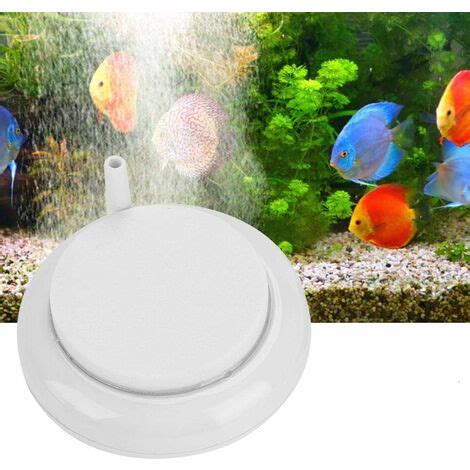 Diffuseur D Air Pour Aquarium