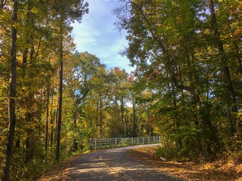 Noonday Creek Trail — ATLnature