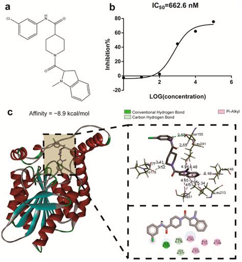 Molecules Free Full Text Novel Magl Inhibitors Alleviate Lps