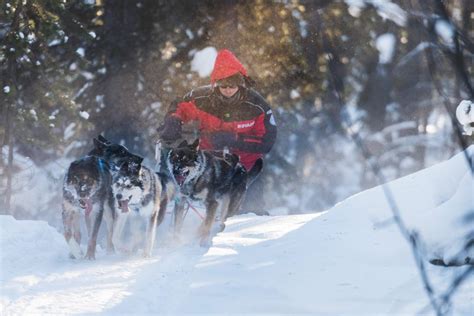 The Yukon Quest Wideoyster Magazine