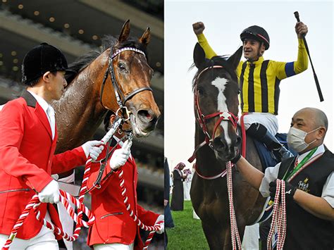 【先週のjra抹消馬】2016年日本ダービーを制した9歳馬マカヒキ、海外重賞連勝のステイフーリッシュらが登録抹消 競馬ニュース