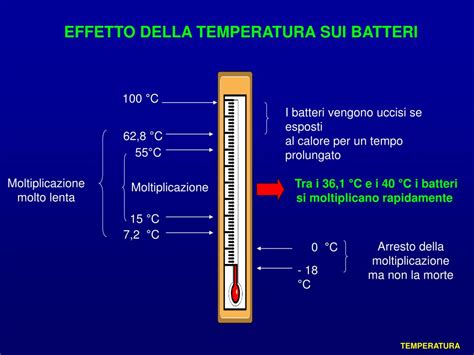 Ppt Igiene Generale Ed Applicata Powerpoint Presentation Free