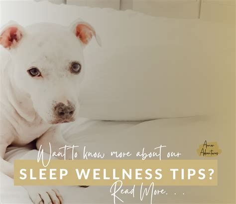 Honest Review For Oprahs Fave Cozy Earth Sheets And Dupes