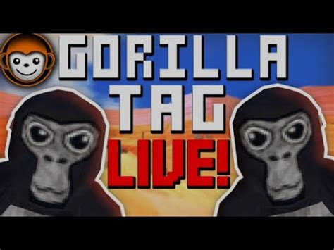 LIVEPlaying Gorilla Tag With ViewersLIVE GORILLA TAGRoad To 60 Subs