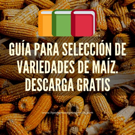 Guía Para Selección De Variedades De Maíz Descarga Gratis