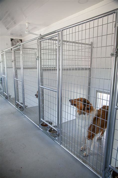 Inside Dog Kennels