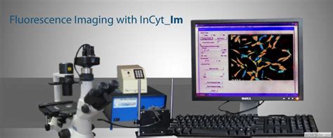 Intracellular Imaging 