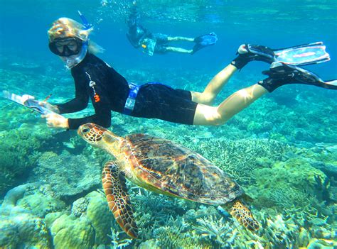 Great Barrier Reef Conservation Volunteer Program | IVHQ