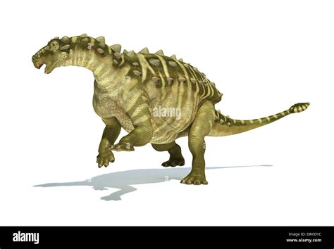 Talarurus Dinosaurio Foto Realistas Científicamente Correcta Representación La Vista Dinámica