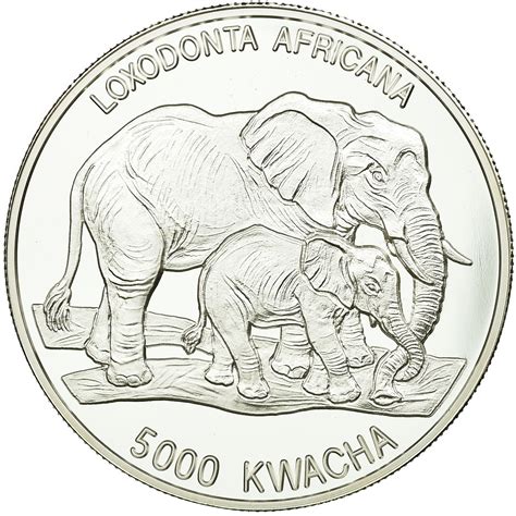 Silver Ounce African Elephant Coin From Zambia Online Coin Club