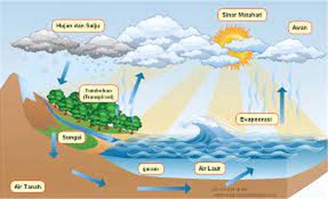 Contoh Bagan Siklus Air Definisi Dan 3 Konsep Id