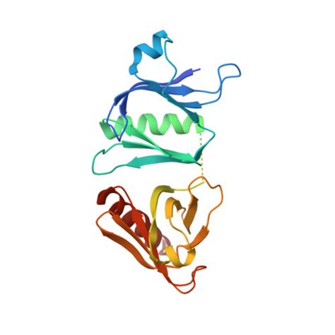 Gene P Protein Irs Overview Cansar Ai