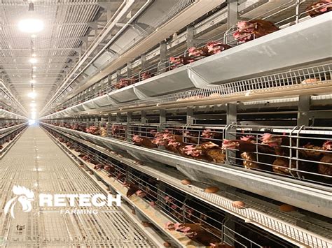 Farmers set up modern chicken farm - RETECH Farming