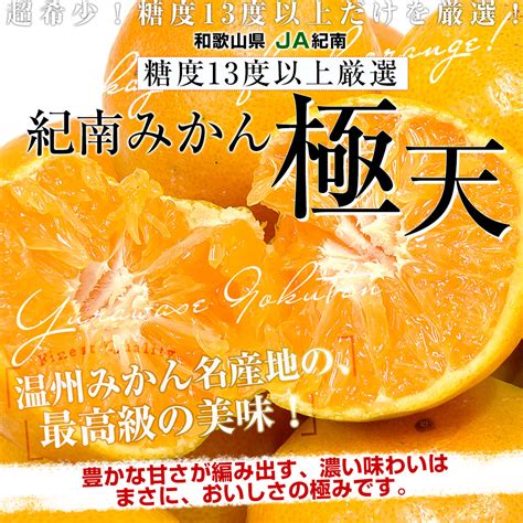 和歌山県 Ja紀南 糖度13度以上 紀南みかん「極天」約5キロ Lからsサイズ40玉から60玉前後 送料無料 蜜柑 ミカン 柑橘 高糖度