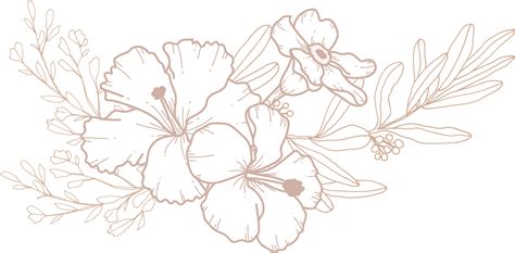 Dessin Au Trait Bouquet De Fleurs 10312915 PNG