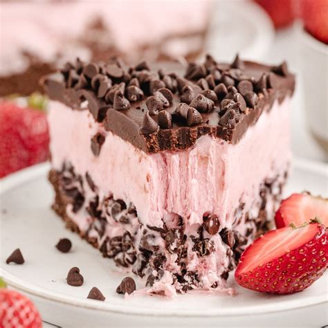 Strawberry-Chocolate Chip Ice Cream Cake - Noble Pig