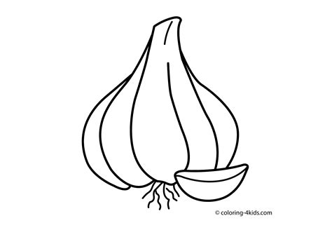 Garlic Drawing At Getdrawings Free Download