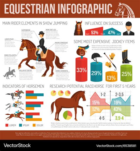 Equestrian Sport Infographic Royalty Free Vector Image