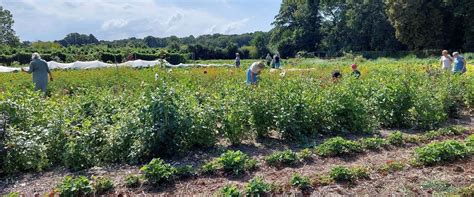 Home Moestuin Leyduin