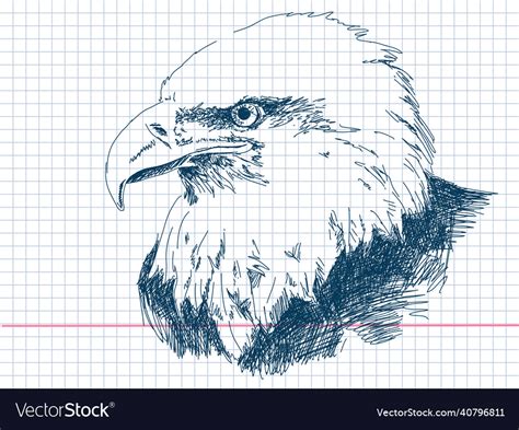 Hand Drawn Eagle Royalty Free Vector Image Vectorstock