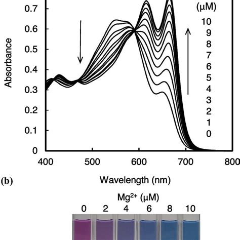 a Absorption spectra of CPA (20 μM) as a function of Mg²⁺ concentration ... 