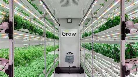 Walk In Plant Growth Chamber At Rs Growth Chambers In