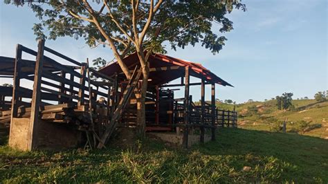 Galeria Fotográfica Finca San Cristóbal Vereda Táguales bajo