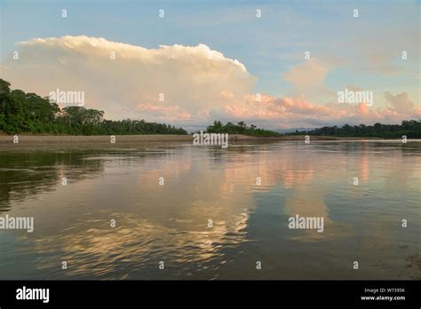 Still life on the Tambopata River, Tambopata National Reserve, Peruvian Amazon Stock Photo - Alamy