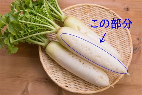 【冬野菜の主役】大根の栄養と効能｜おいしい大根の選び方を解説！ 食事改善ノート