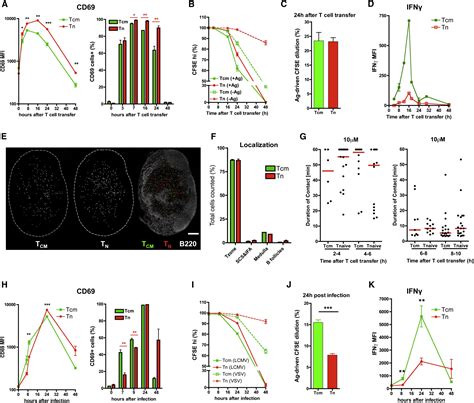 Chemokine Guidance Of Central Memory T Cells Is Critical For Antiviral