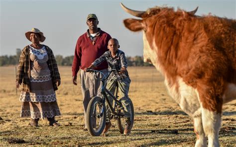 White Farmers Warn Of ‘new Zimbabwe As Calls Grow For Land