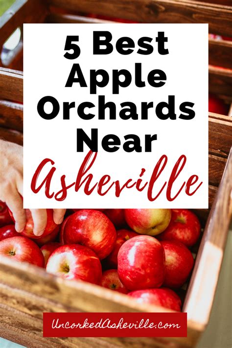 Are You Looking For Apple Picking Near Asheville Nc Don T Miss The