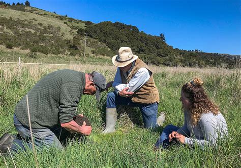 Tomkat Ranch Center For Regenerative Agriculture And Resilient