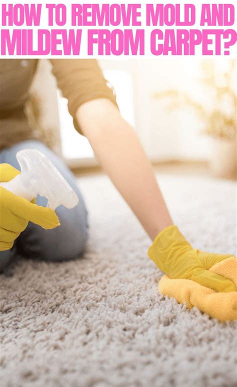 How To Remove Mold And Mildew From Carpet Step By Step Cleaningtips