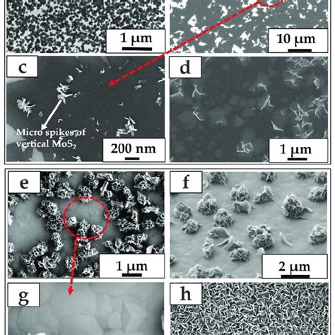 Growth Morphology Evolution Of Synthesized Vertical MoS2 Nanosheets